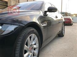 جاكوار XF